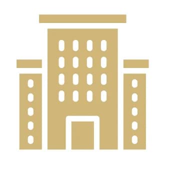 Icon product definition