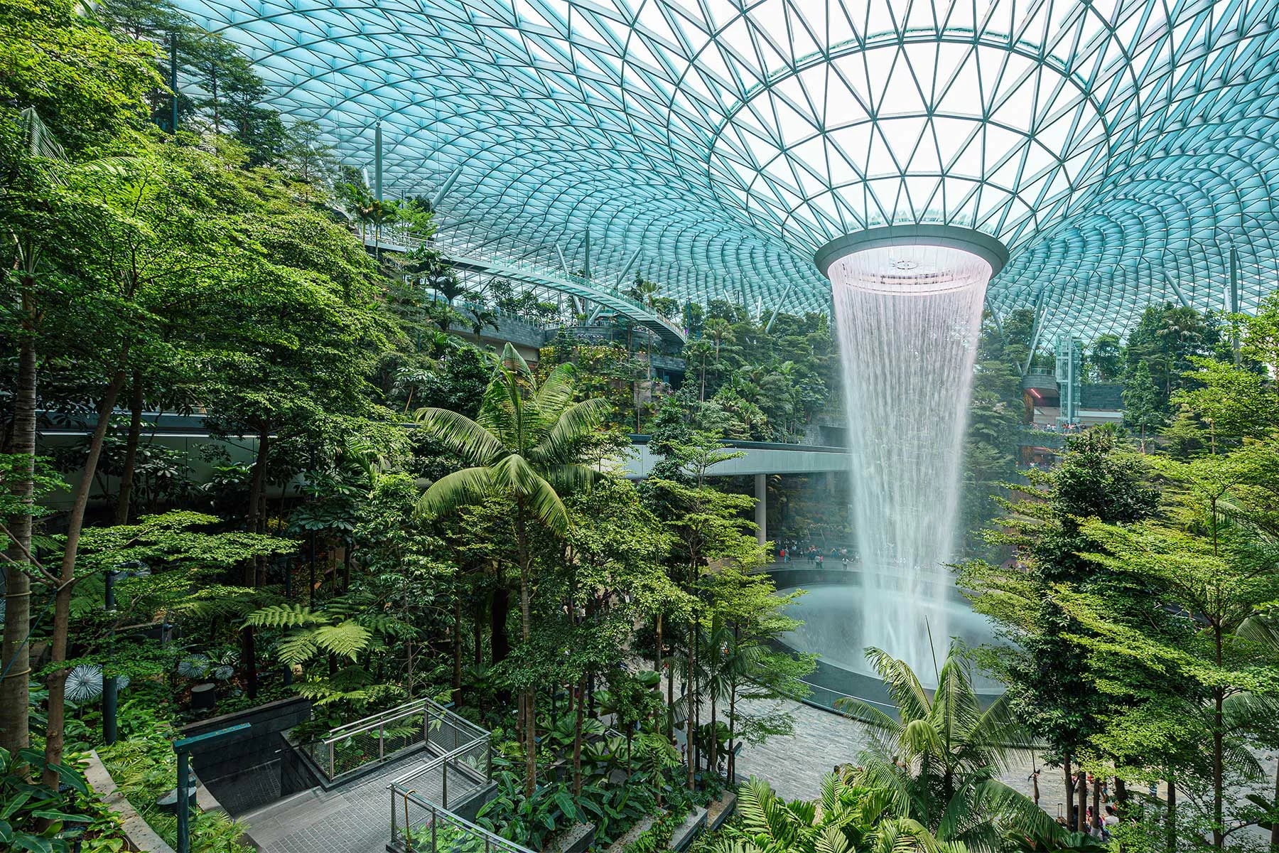 Biophilic-Design