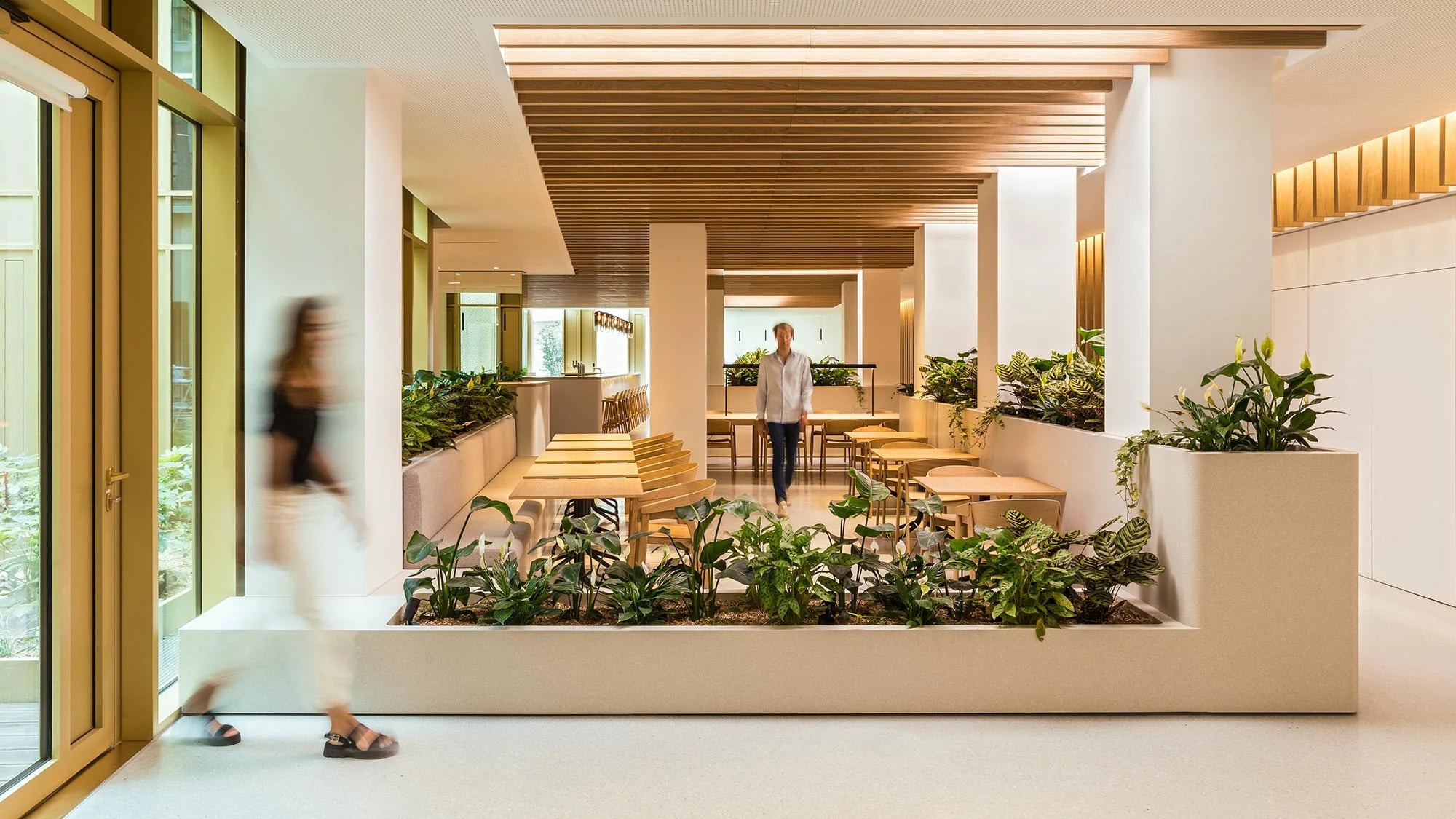 blog-biophilic-design-22-bayard-02-HERO-2000x1125_1691426162