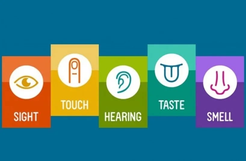 sensory marketing