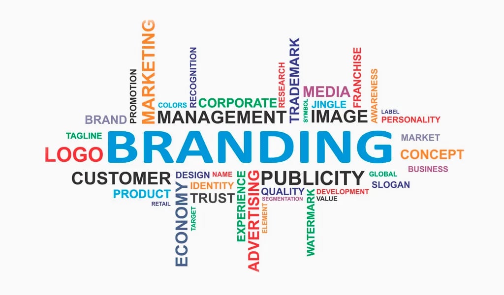 65a6acf2b695266ef82f917d_branding