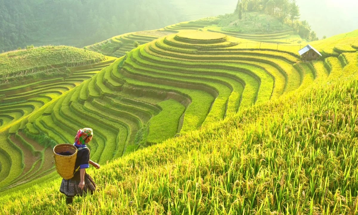 Du lich viet nam 1
